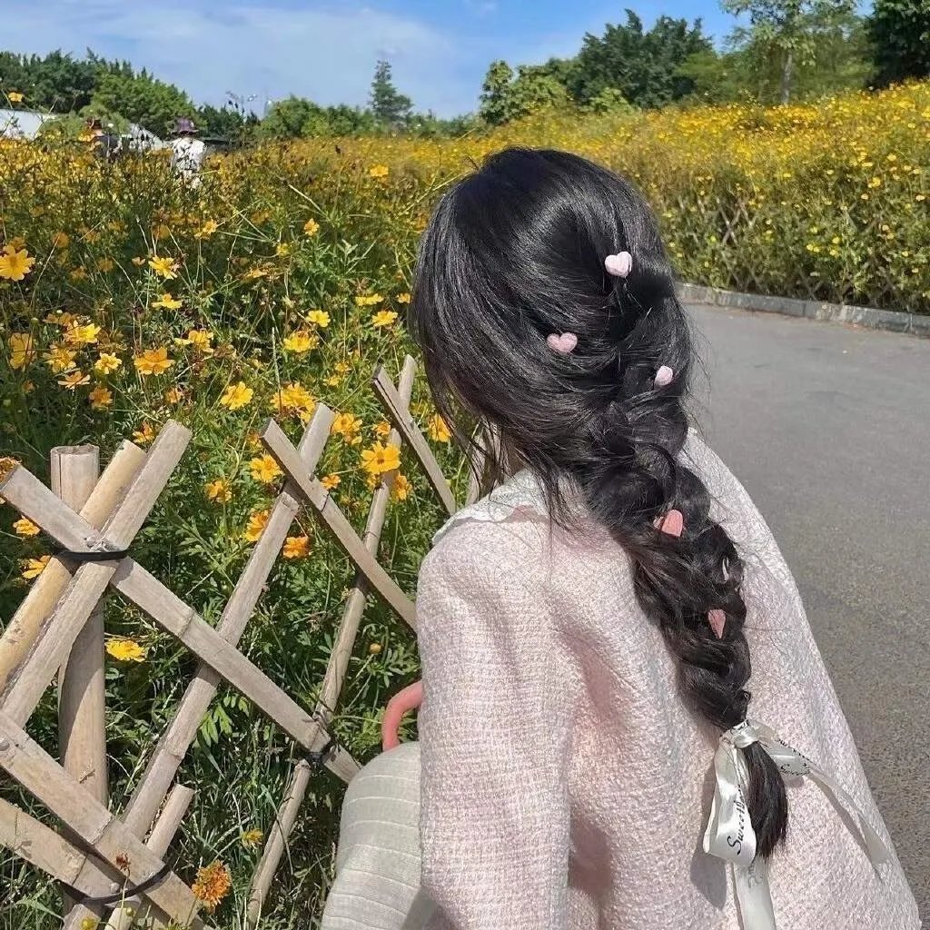 科西嘉的那个夏天